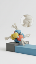 Interactive Chew Toy with Squeaker
