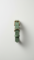 Ash Green Leather Dog Collar